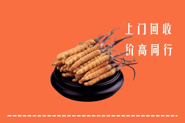 徐州高价冬虫夏草回收多少钱每克