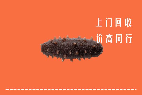 徐州高价回收海参